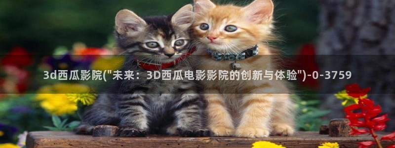 珠江人家西瓜影院