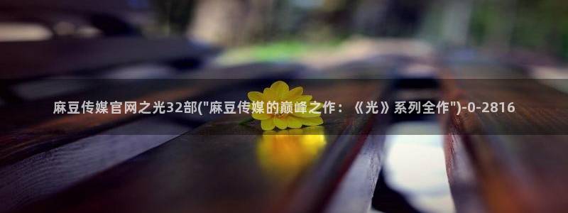 麻豆站点地图