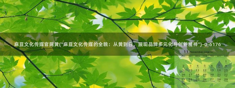 麻豆传媒