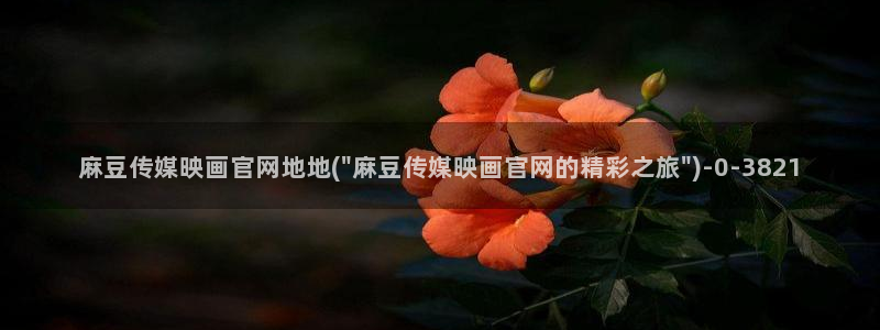 麻豆演员资料
