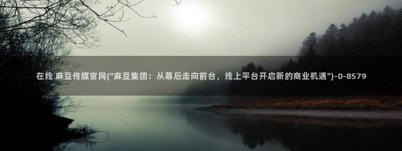 麻豆演员资料