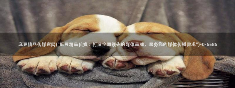 麻豆视频相关推荐