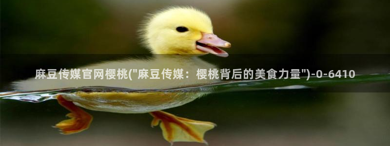 麻豆视频合集