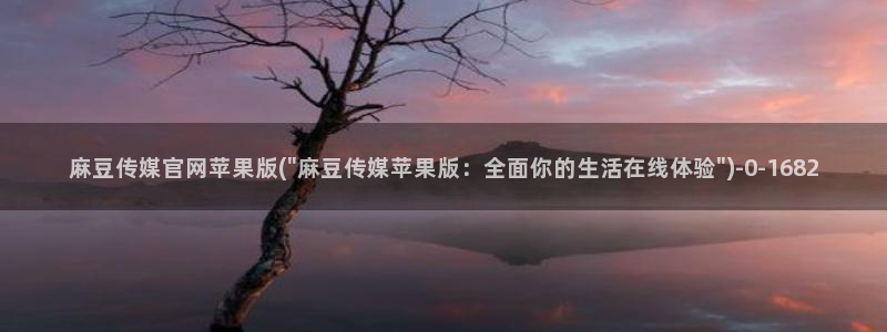 麻豆视频分类规则