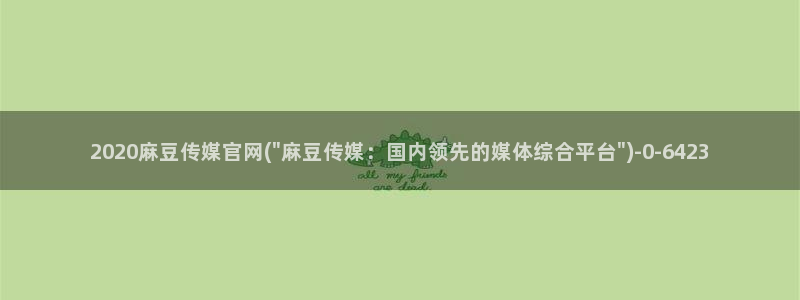 麻豆视频指南文案