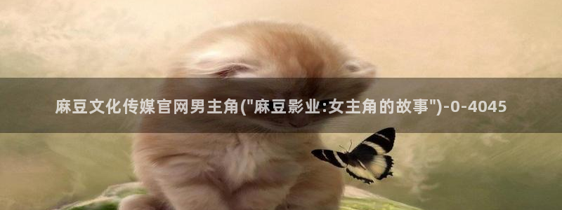 麻豆视频资源站