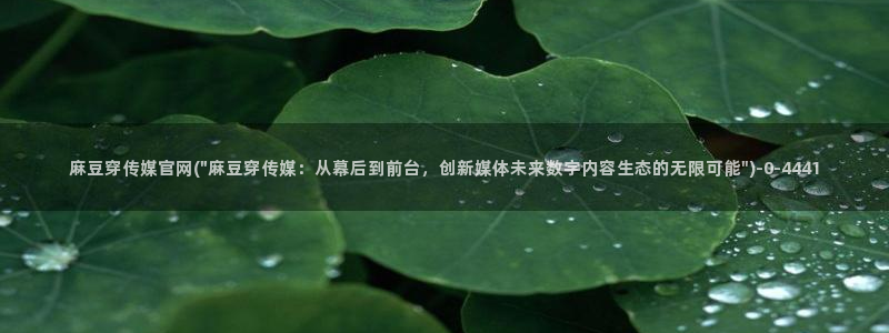 麻豆精品视频