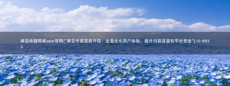 麻豆视频解说文案