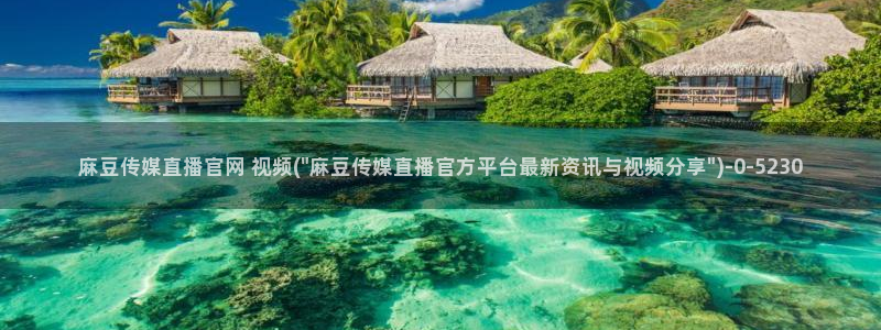 麻豆资料页