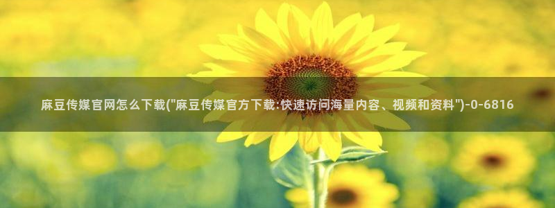 麻豆站点地图