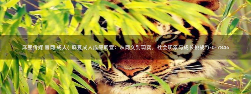 麻豆视频低竞争词