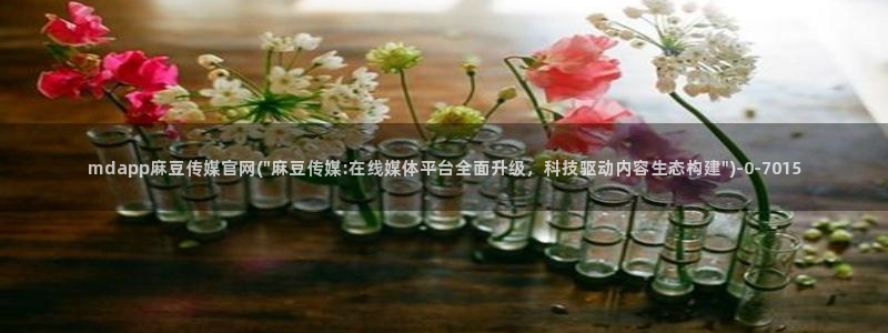 麻豆视频排名词