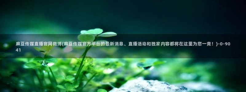 麻豆视频列表文案：麻豆传媒直播官网微博(麻豆传媒官方平台的最新消息、直播