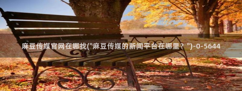 麻豆SEO模板：麻豆传媒官网在哪找(\