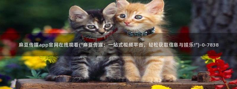 麻豆剧情页