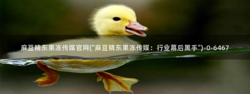 麻豆视频合集整理