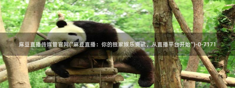 麻豆视频分类目录