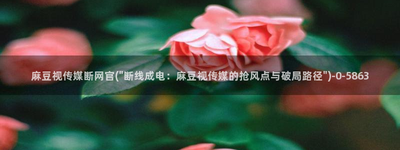 麻豆高清视频