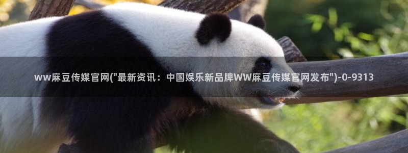 麻豆视频文章描述
