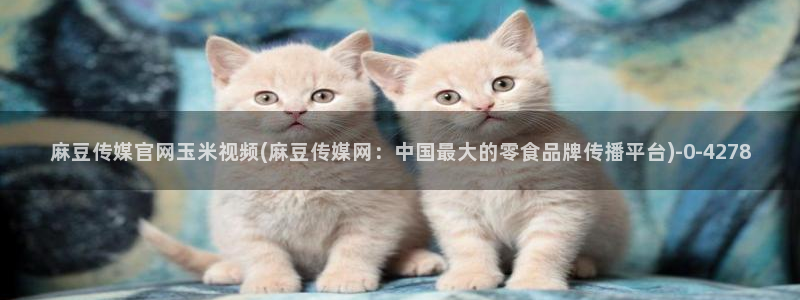 麻豆视频在线看