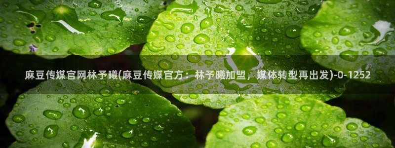 麻豆视频精准词