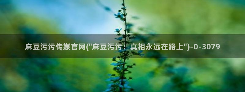 麻豆视频自动更新