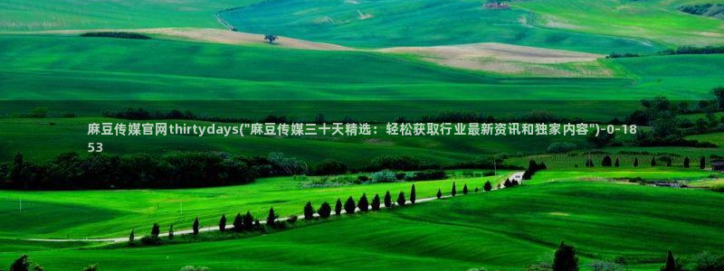 麻豆视频优质内容