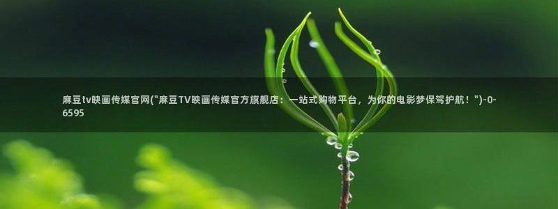 麻豆观看标题