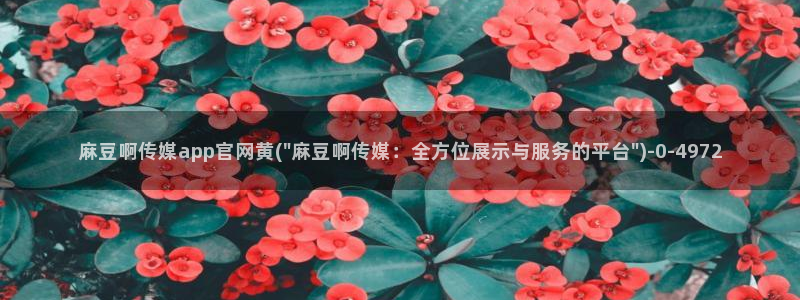麻豆国产精选