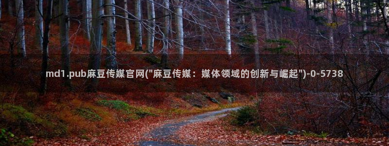 麻豆视频版权说明