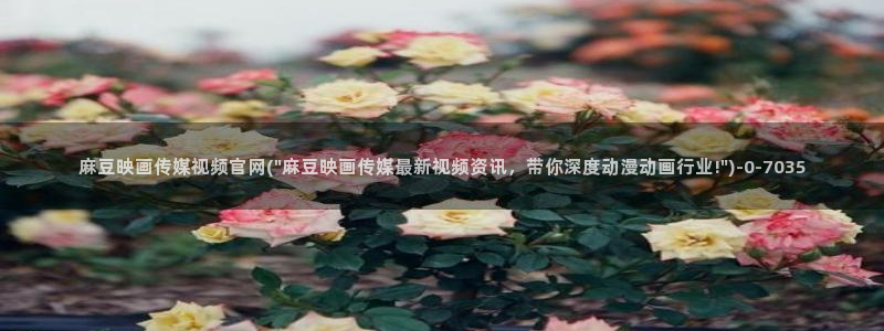 麻豆视频站内文案