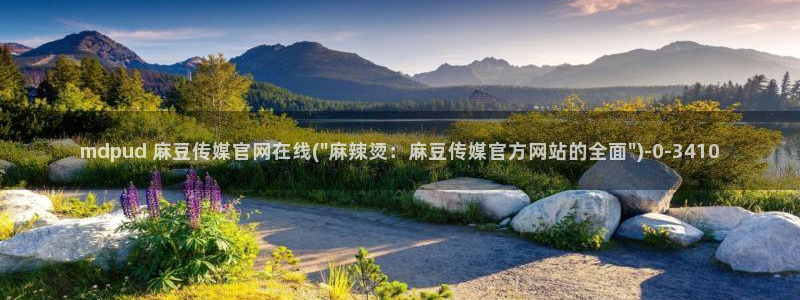 麻豆视频高流量词